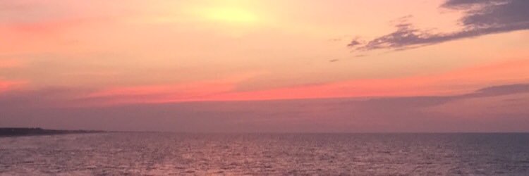 nboardwine's profile banner image