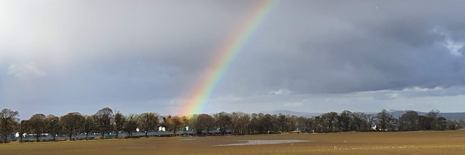 Hilary Phillips banner