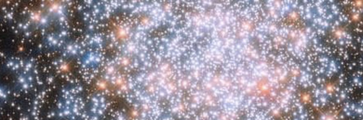 Jєss banner