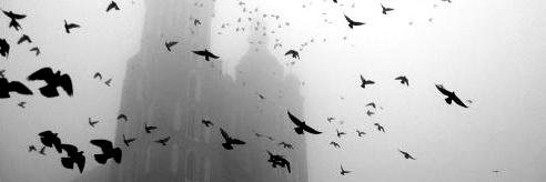 JLKirkpatrick1's profile banner image