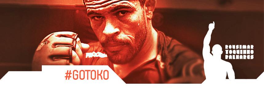 ToquinhoMMA's profile banner image