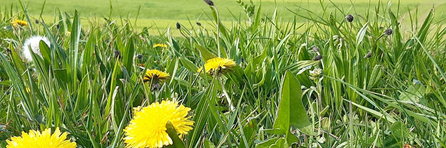 erk4nyildiz's profile banner image