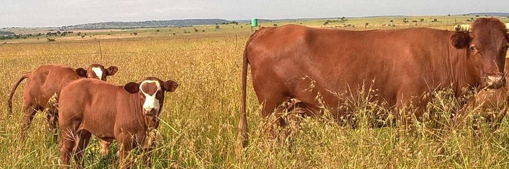 VentGrow's profile banner image