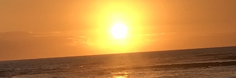 M banner