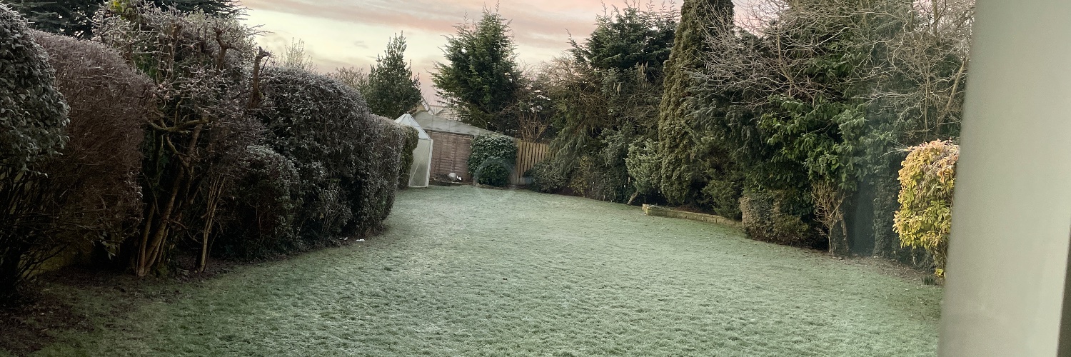 shauntowell's profile banner image