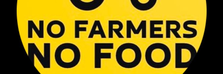 wilo1466's profile banner image