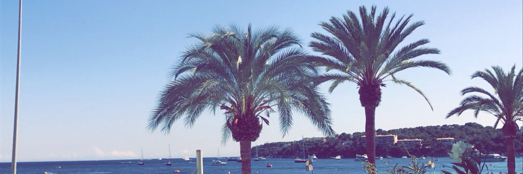 ciaradonoghuee's profile banner image