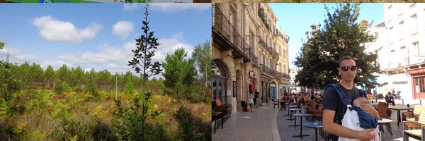 xMoreira2 Profile Banner