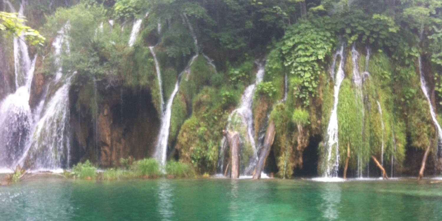 Elliot Statham banner