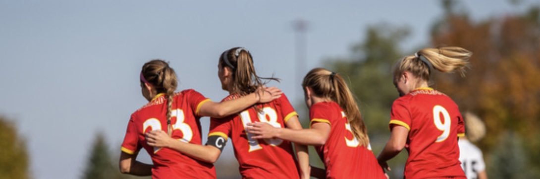 gabbyteodorescu's profile banner image