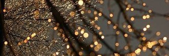 Mónica Alves 🃏🐝 banner