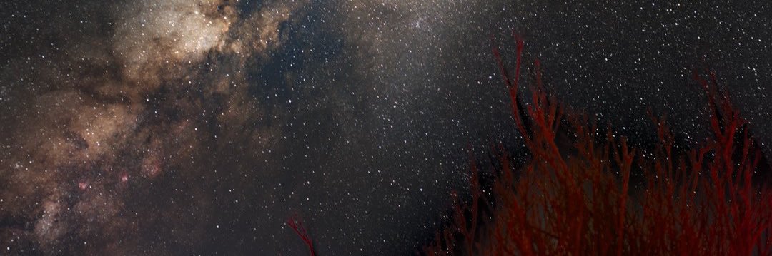 mjeeed51's profile banner image