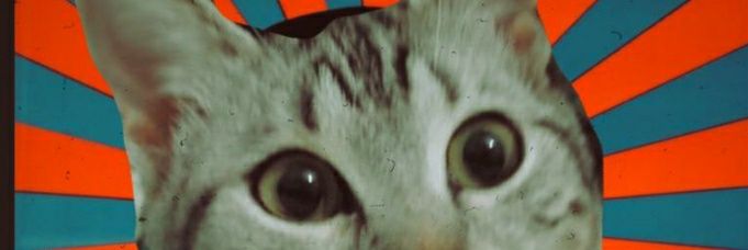 UmutCanFidan2's profile banner image