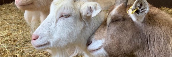 KTCityFarm Profile Banner