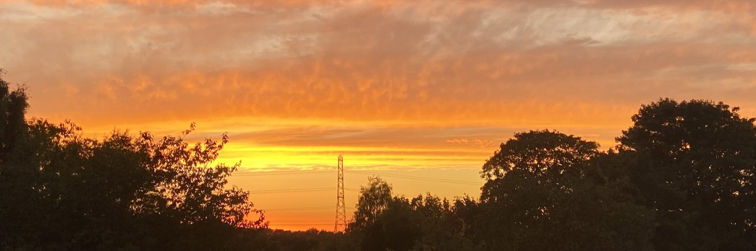 Norbo1995's profile banner image