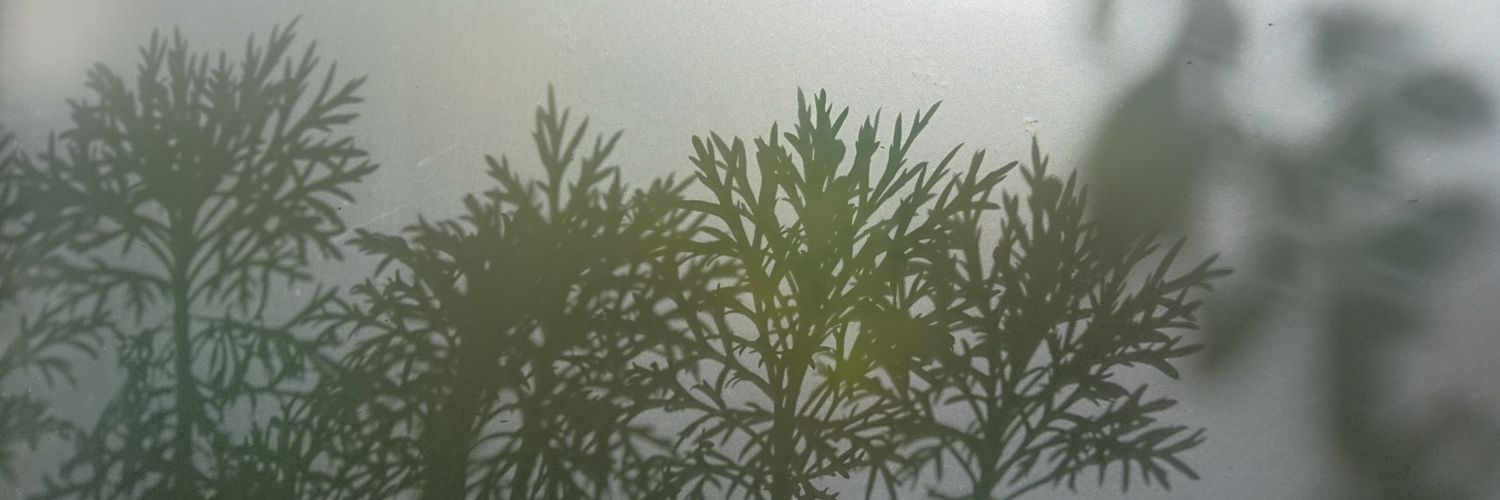 hichu6104's profile banner image
