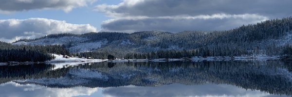 MalaWang Profile Banner