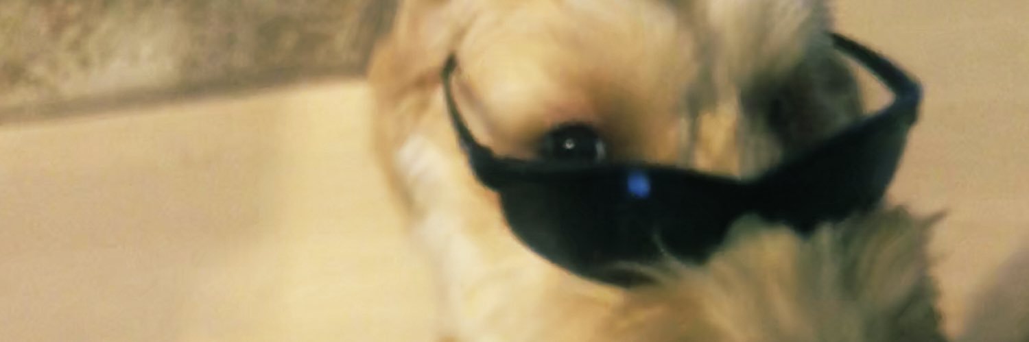 NikkiJay26's profile banner image