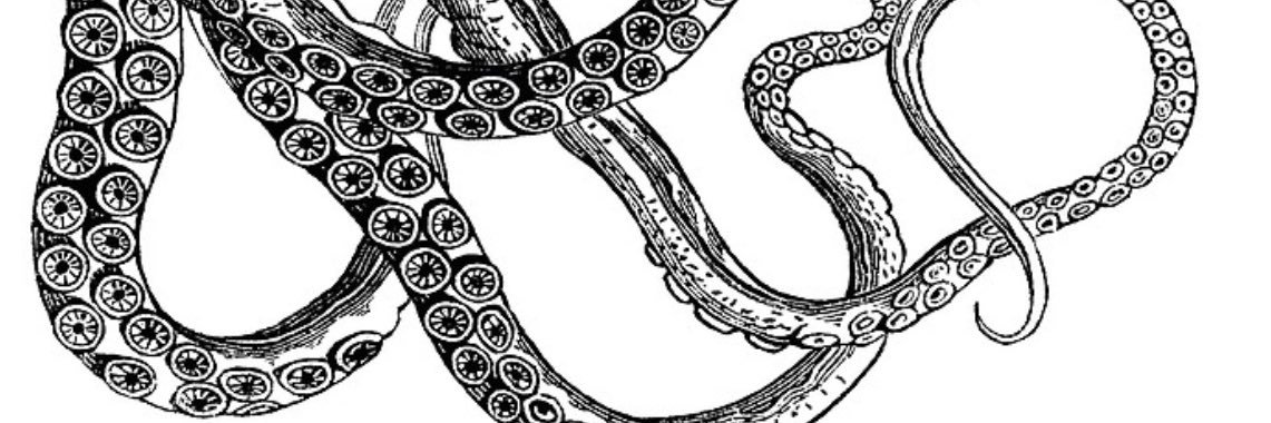 labluff's profile banner image