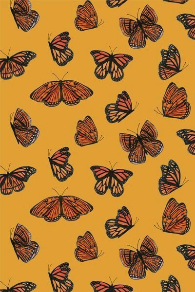 _butterfly6's profile banner image