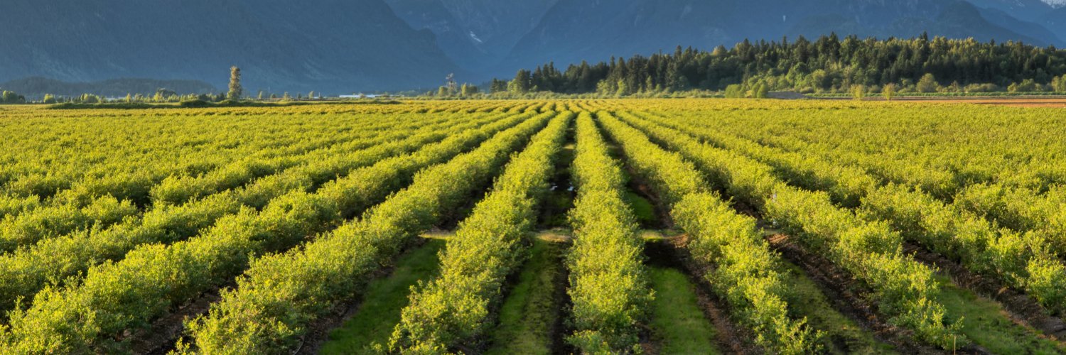 BC Agriculture Council banner