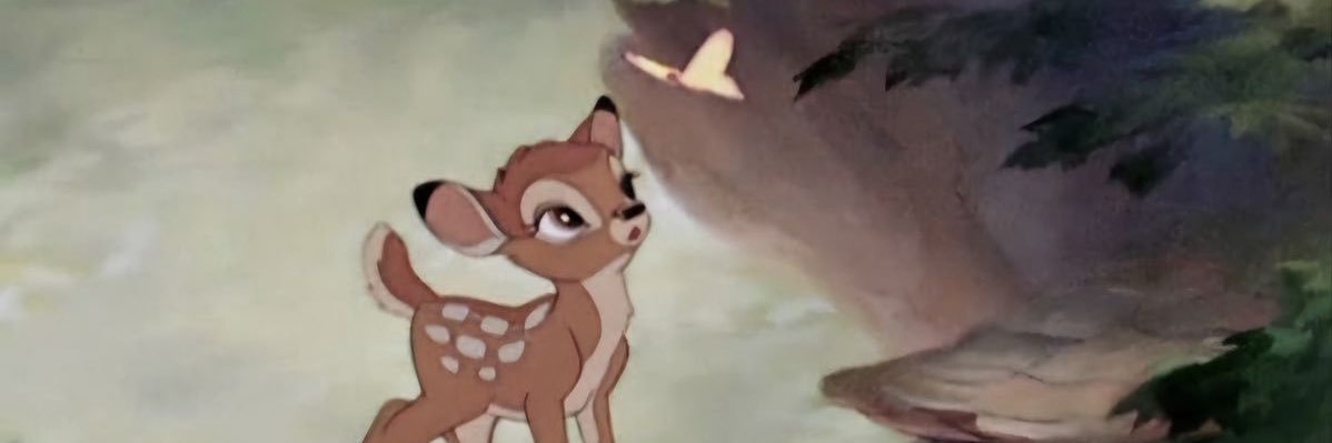 sandraenr_'s profile banner image