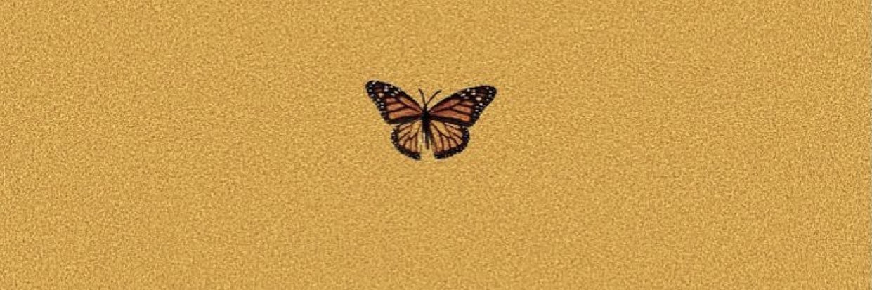 t_williamss's profile banner image