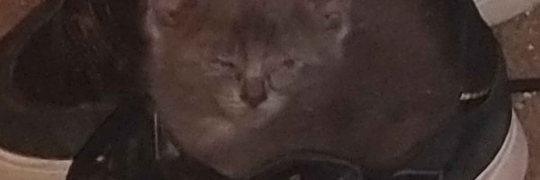 AkAScottie_ Profile Banner