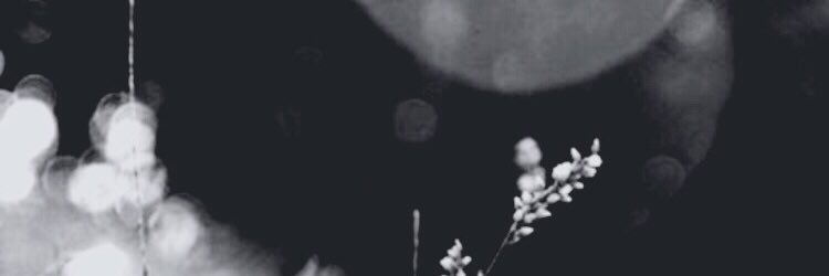 TracyLynnPage's profile banner image
