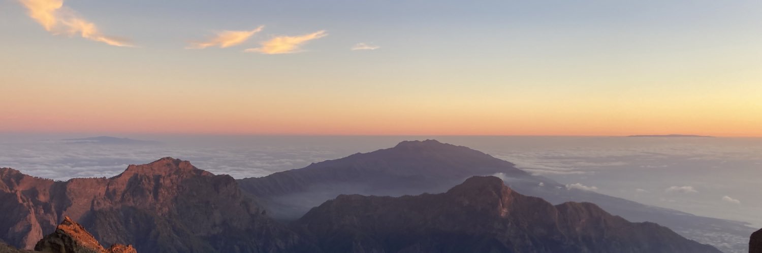 Anton Sintsov banner