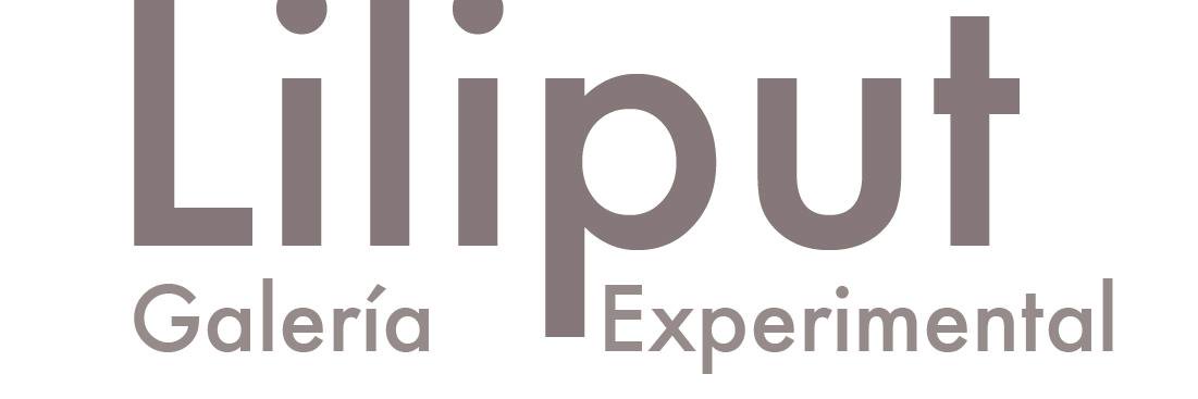 LiliputGallery's profile banner image
