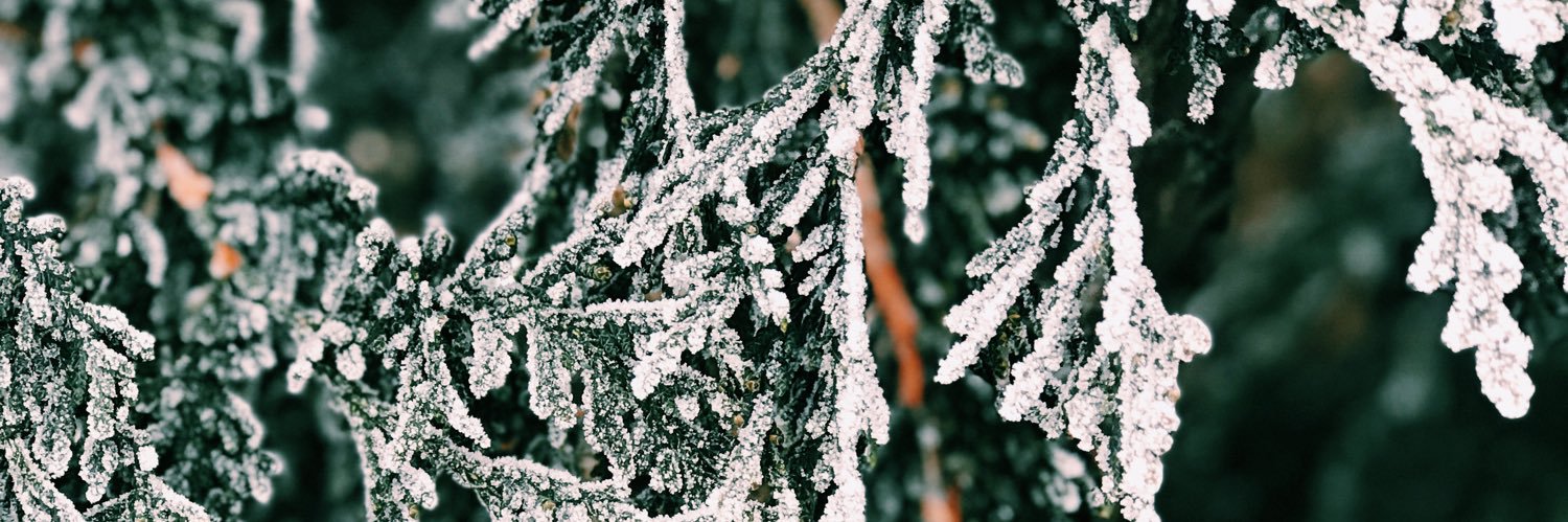 Payton_Dempsey's profile banner image