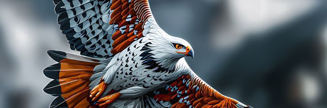 RadiusDMC's profile banner image