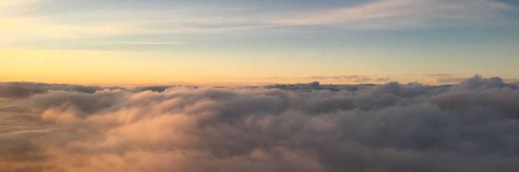 Alex Chambers banner