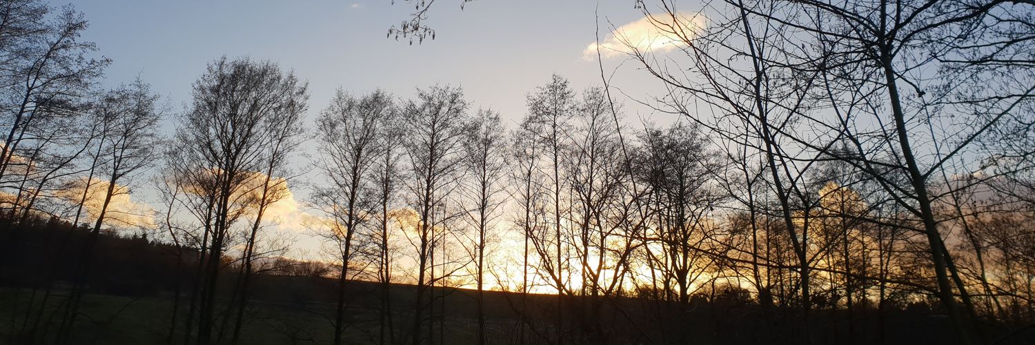 NyxAndNemesis's profile banner image