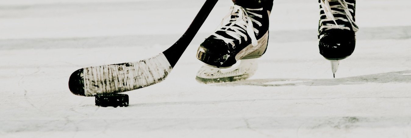 DJHLCobras's profile banner image