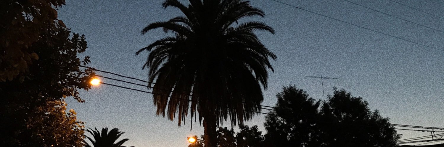 FerrerVicky's profile banner image