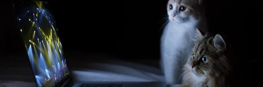 MauraTweets's profile banner image