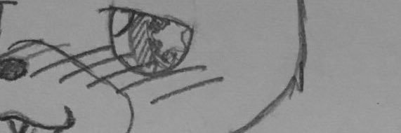 きーたーりーあー banner