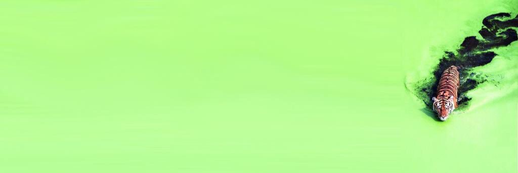 Ty_Taylor3's profile banner image