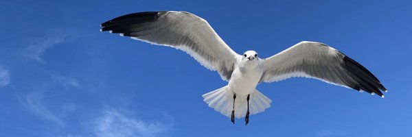 RickBColby Profile Banner