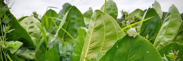 JowardHoward Profile Banner