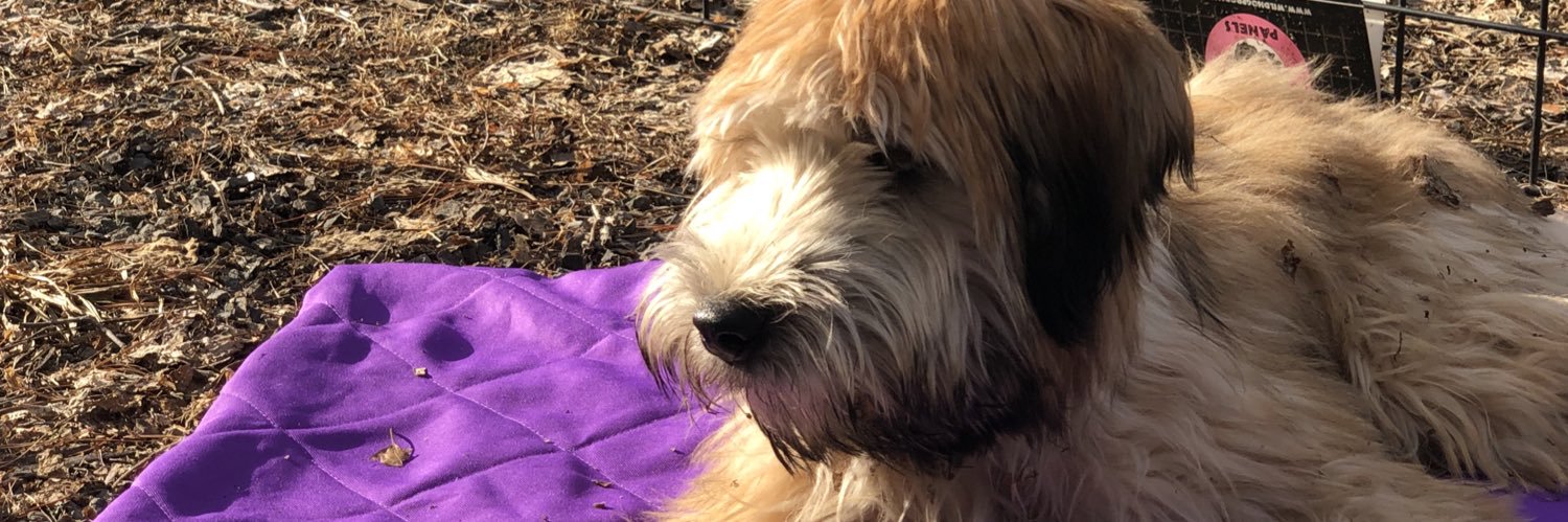 Rachaele Raynoff 🎗️ banner