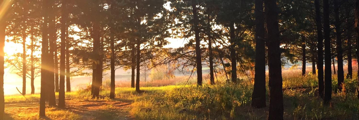 Bevan Andriés banner