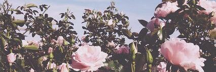jwro_'s profile banner image