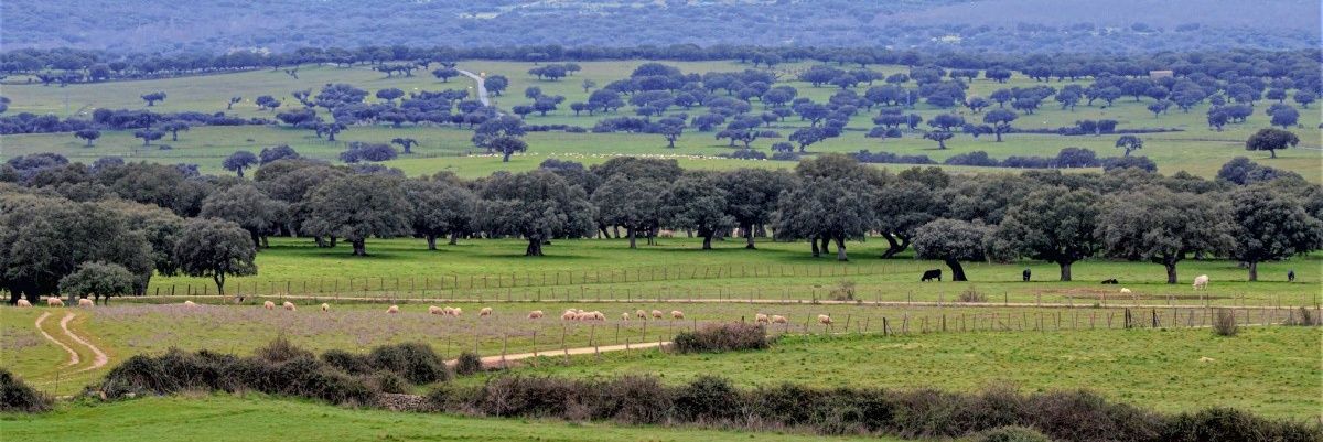 Alberto55984505's profile banner image