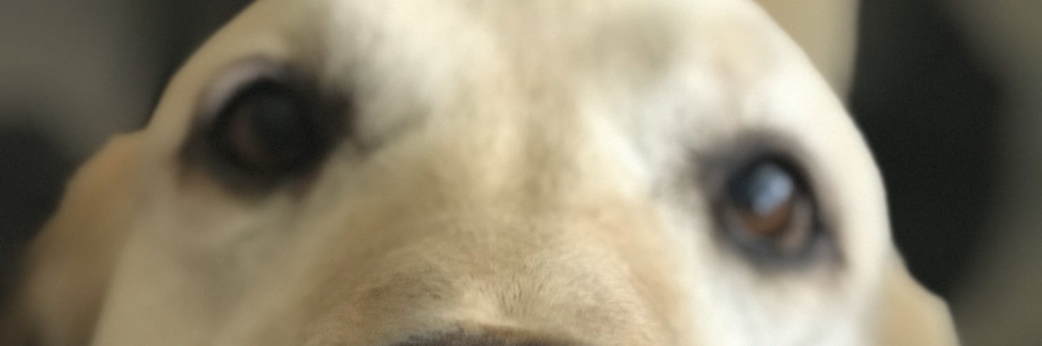 JMayer27's profile banner image