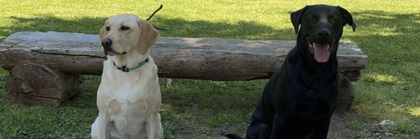 catsolie's profile banner image
