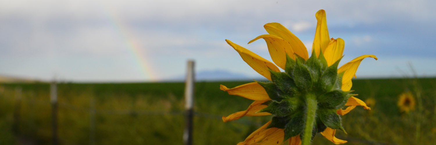 MeganMcCoy11's profile banner image