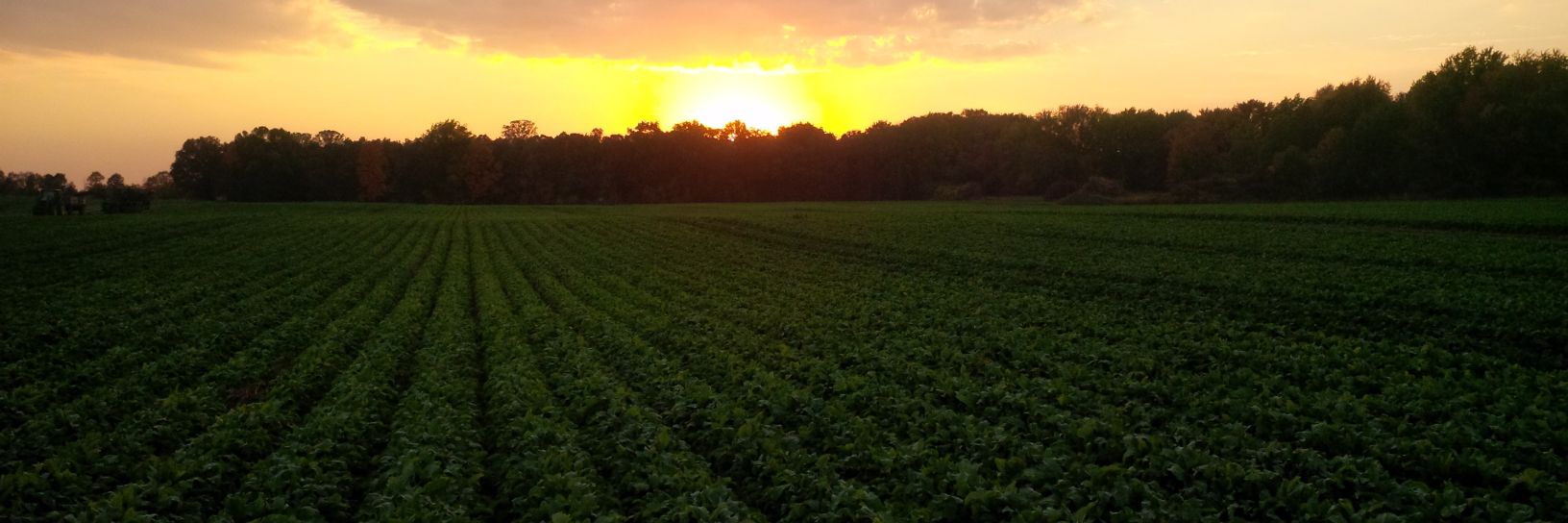carronfarms's profile banner image